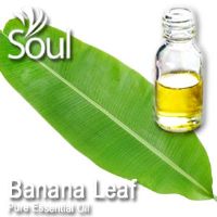 Pure Essential Oil Banana Leaf - 10ml - Click Image to Close