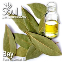 Pure Essential Oil Bay - 50ml