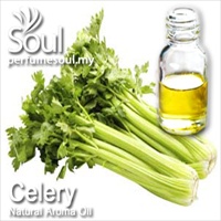Natural Aroma Oil Celery - 50ml - Click Image to Close