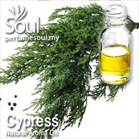 Natural Aroma Oil Cypress - 10ml