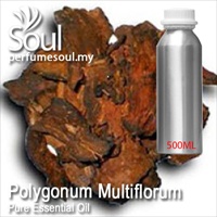 Pure Essential Oil Polygonum Multiflorum - 500ml - Click Image to Close
